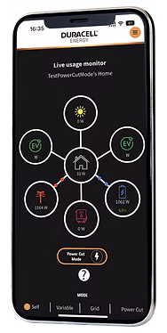 Duracell Energy App showing export earnings dashboard